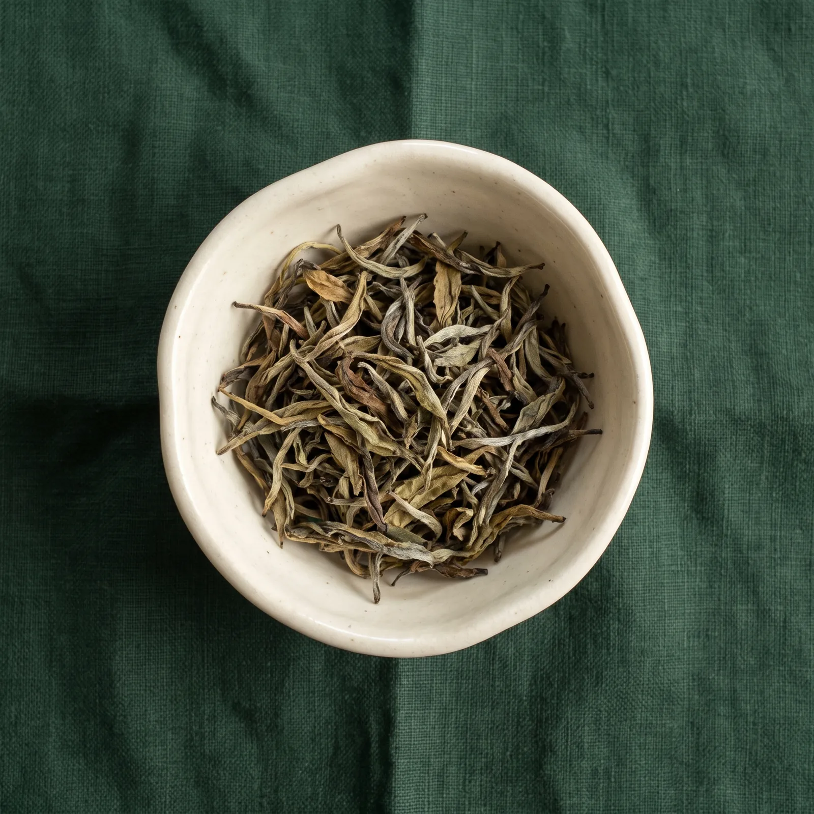 Helle, gedrehte Darjeeling-Blätter in einer Keramikschale